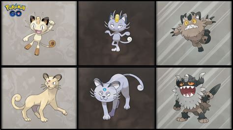 dark meowth evolution.